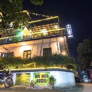 Auberge de jeunesse Big Tree, Katmandou